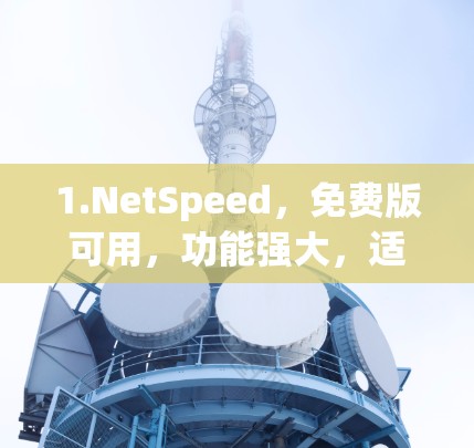 1.NetSpeed,免费版可用,功能强大,适合多种网页加载需求 1.NetSpeed,免费版可用,功能强大,适合多种网页加载需求