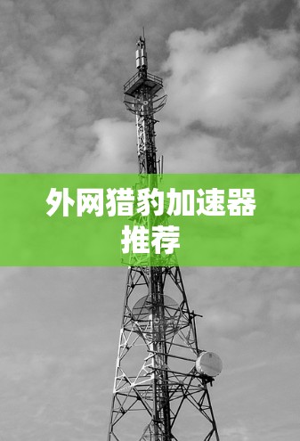 外网猎豹加速器推荐