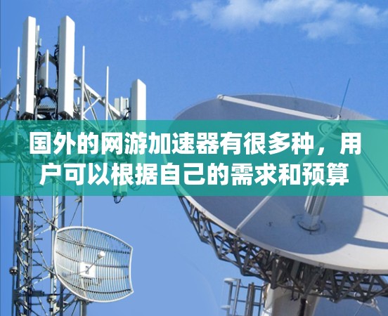国外的网游加速器有很多种，用户可以根据自己的需求和预算选择合适的工具。以下是一些 popular 的国外网游加速器推荐，涵盖功能、使用和成本等方面