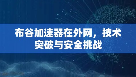 布谷加速器在外网,技术突破与安全挑战 布谷加速器在外网,技术突破与安全挑战