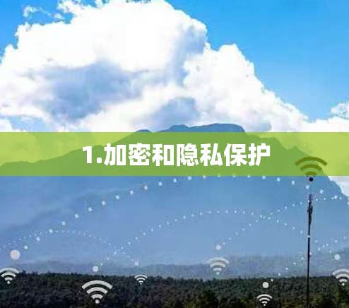 1.加密和隐私保护 1.加密和隐私保护