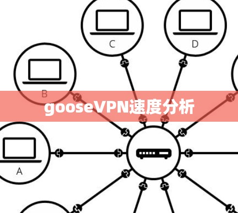 gooseVPN速度分析