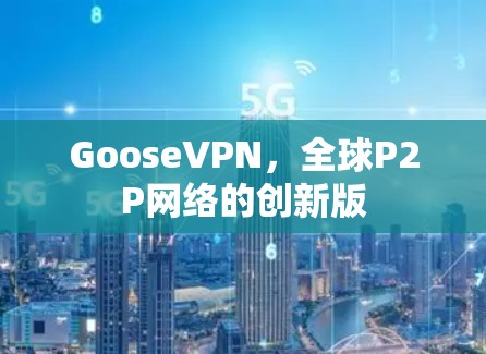 GooseVPN，全球P2P网络的创新版