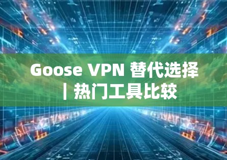 Goose VPN 替代选择｜热门工具比较