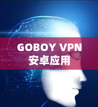GOBOY VPN安卓应用