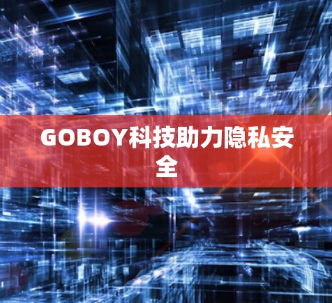 GOBOY科技助力隐私安全 GOBOY科技助力隐私安全