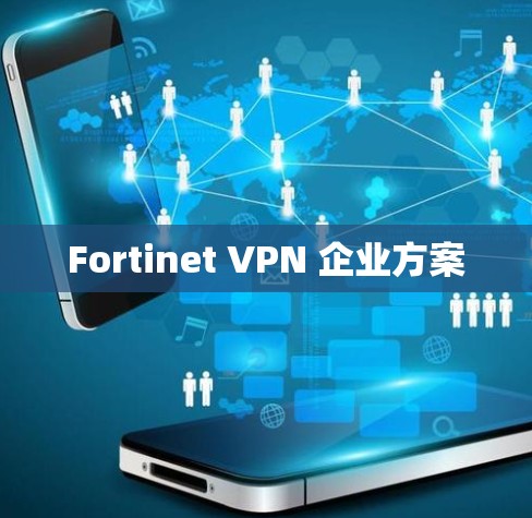 Fortinet VPN 企业方案 Fortinet VPN 企业方案