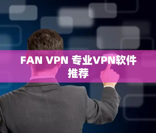 FAN VPN 专业VPN软件推荐