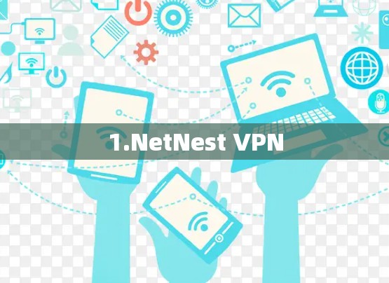 1.NetNest VPN