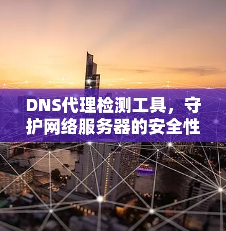 DNS代理检测工具,守护网络服务器的安全性 DNS代理检测工具,守护网络服务器的安全性