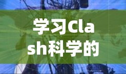 学习Clash科学的规则配置是一个系统且有挑战性的过程，涉及多个领域的知识和技能。以下是一个清晰、有条理的步骤指南