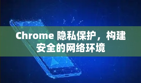 Chrome 隐私保护，构建安全的网络环境