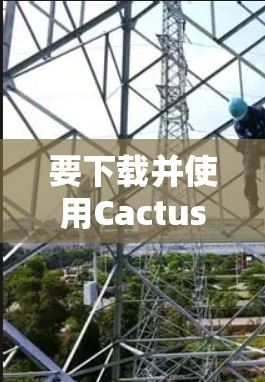 要下载并使用CactusVPN，您可以按照以下步骤进行操作
