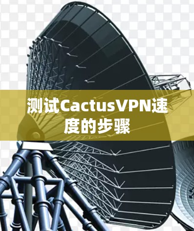 测试CactusVPN速度的步骤 测试CactusVPN速度的步骤