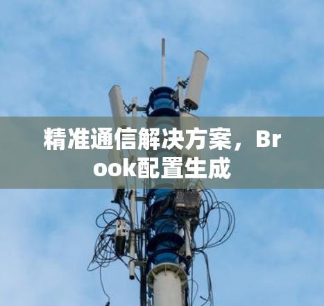 精准通信解决方案，Brook配置生成