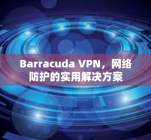 Barracuda VPN,网络防护的实用解决方案 Barracuda VPN,网络防护的实用解决方案
