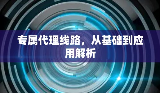 专属代理线路，从基础到应用解析